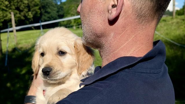 Nala als Welpe sicher auf dem Arm getragen
